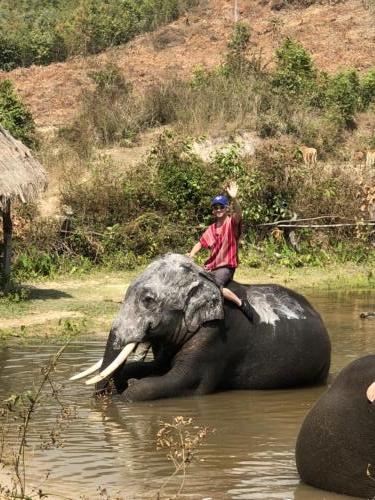 Karen Tribe Elephants